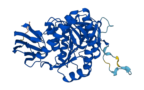 CLP1 3D structure