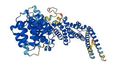 GLMN 3D structure