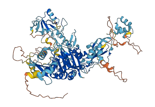 USP13 3D structure
