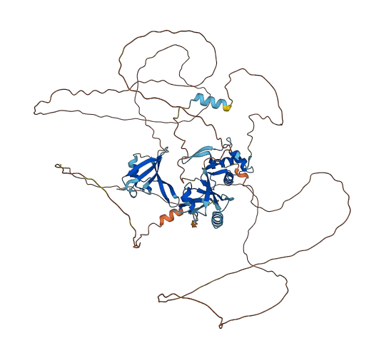 DVL3 3D structure