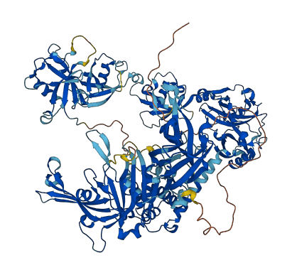 USP7 3D structure