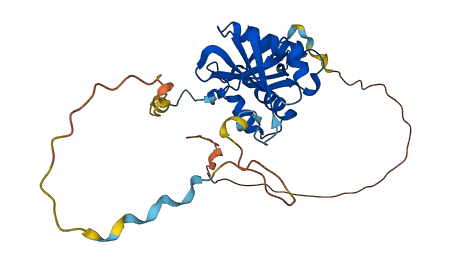 NAA80 3D structure