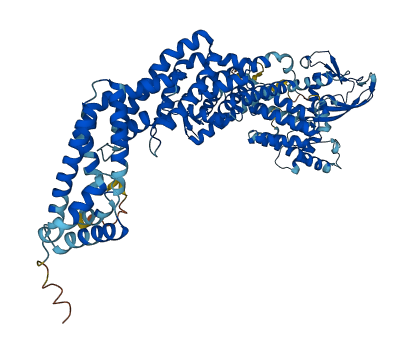CUL5 3D structure