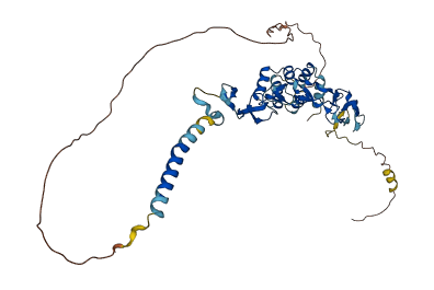 TNFRSF25 3D structure