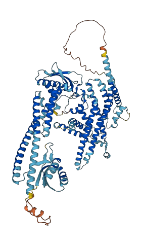 ATP6V0A1 3D structure