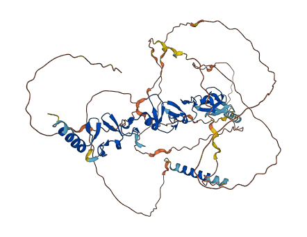 LPP 3D structure