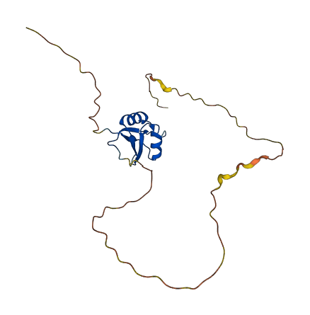 RBPMS 3D structure