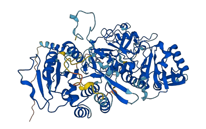 EXT2 3D structure