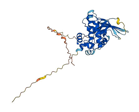 ART4 3D structure
