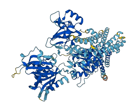 ATP2A3 3D structure