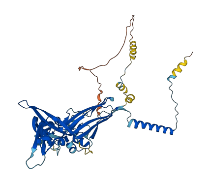 P2RX5 3D structure
