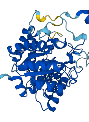BHMT 3D structure