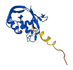 RNASE6 3D structure