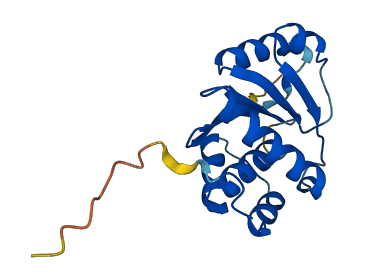 PTP4A1 3D structure