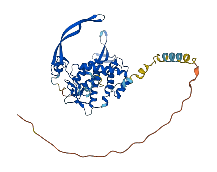 WNT2B 3D structure