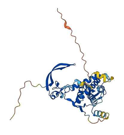 WNT8B 3D structure