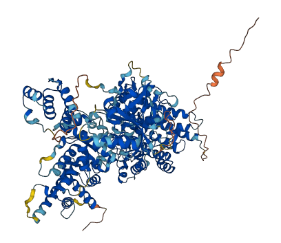 PHKB 3D structure
