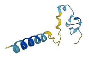 LEAP2 3D structure