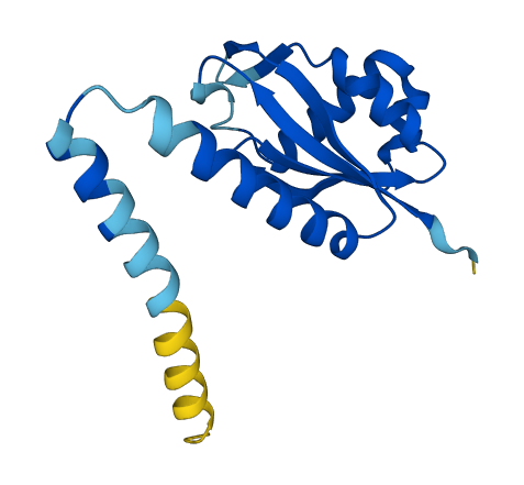 POP5 3D structure