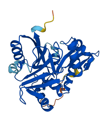 GLYATL1 3D structure