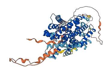 SLC38A4 3D structure