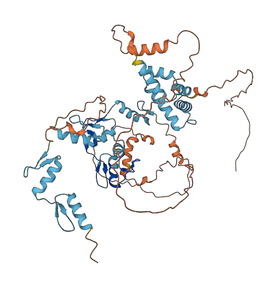 ZKSCAN4 3D structure