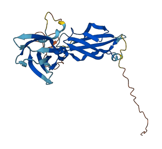 IL22RA2 3D structure