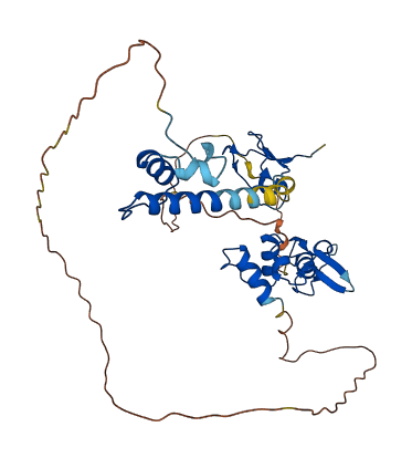 RNF34 3D structure