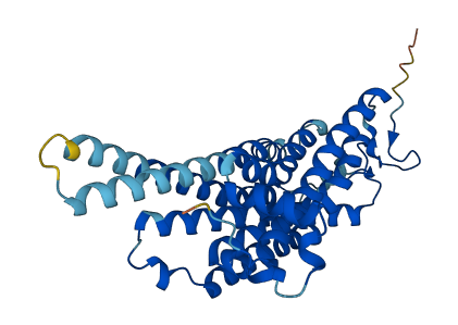 TAAR8 3D structure
