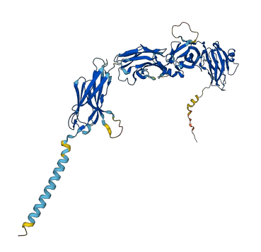 IGSF8 3D structure