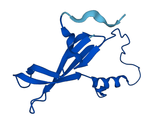 RPL36AL 3D structure