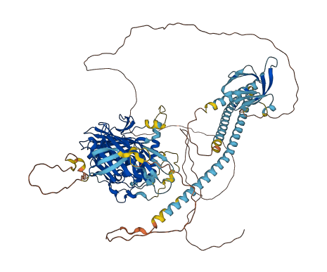 OSBP2 3D structure