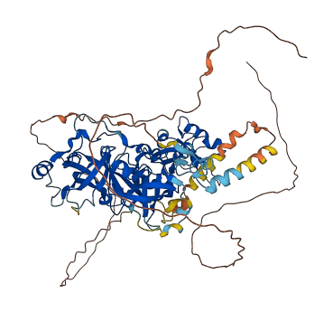 L3MBTL2 3D structure