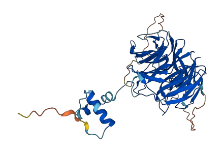 ITFG2 3D structure