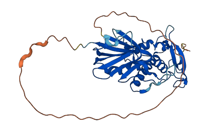 NEIL2 3D structure