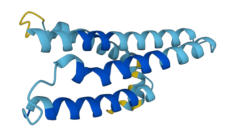 TMEM203 3D structure