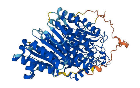 HDAC10 3D structure
