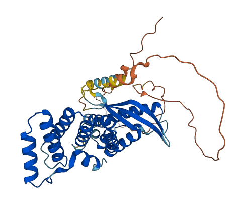 SNX21 3D structure