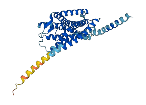 MCHR2 3D structure