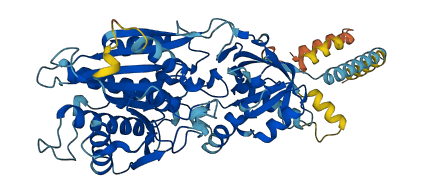NCLN 3D structure