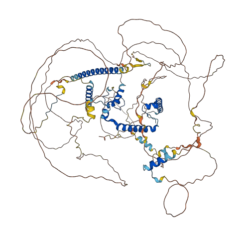 MRTFA 3D structure