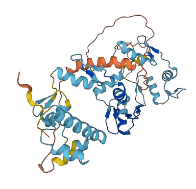 ZNF566 3D structure