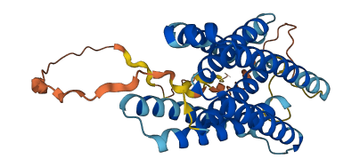 TMBIM1 3D structure