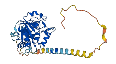 ST6GALNAC6 3D structure