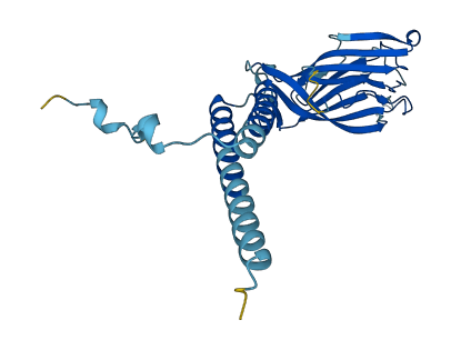 ERGIC1 3D structure