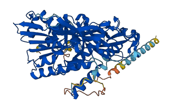 NXPE3 3D structure