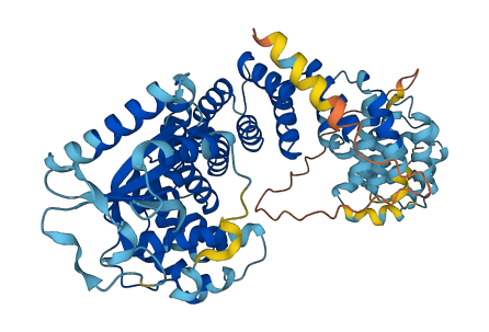 TBRG4 3D structure