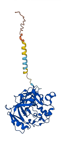 MTARC2 3D structure