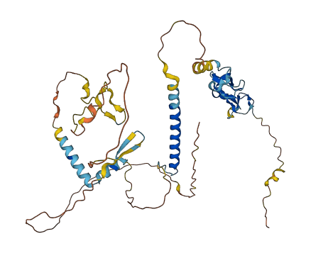 RELT 3D structure
