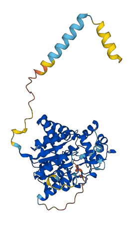 GAL3ST3 3D structure